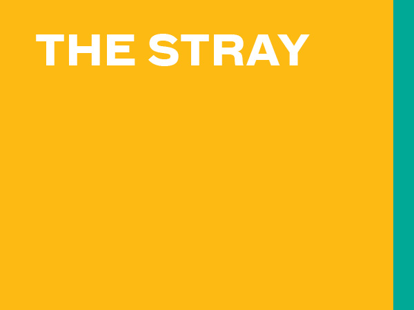 The Stray