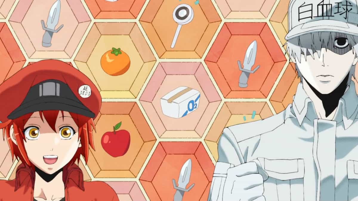 Hataraku Saibou = Cells At Work - Season 2 Ending (HD): : r/CellsAtWork